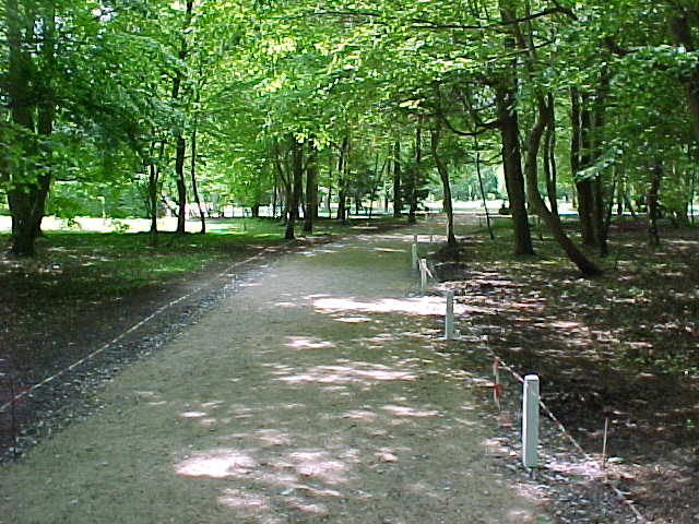 336 - C'EST UN TRES JOLI CHEMIN, A L'OMBRE DES ARBRES.jpg